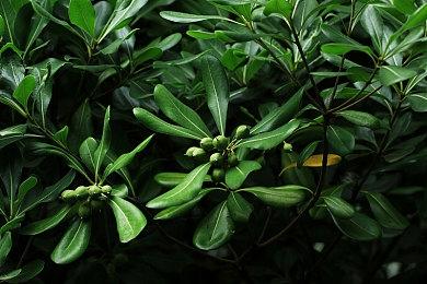 快递拯救世界 《Parcel Corps》上市宣传片欣赏